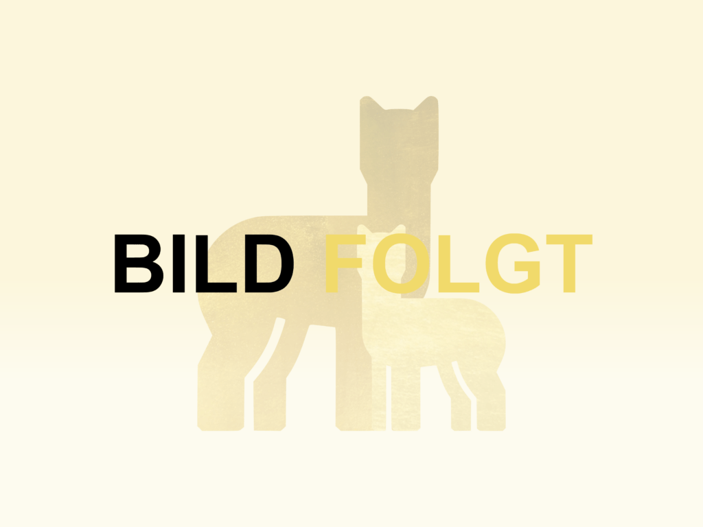 harmony alpacas bild folgt