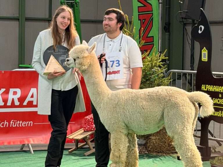 Alpaka Best of Show AAeV