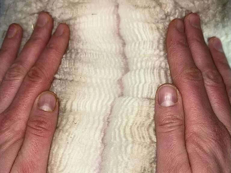 Alpaka Vliesbild